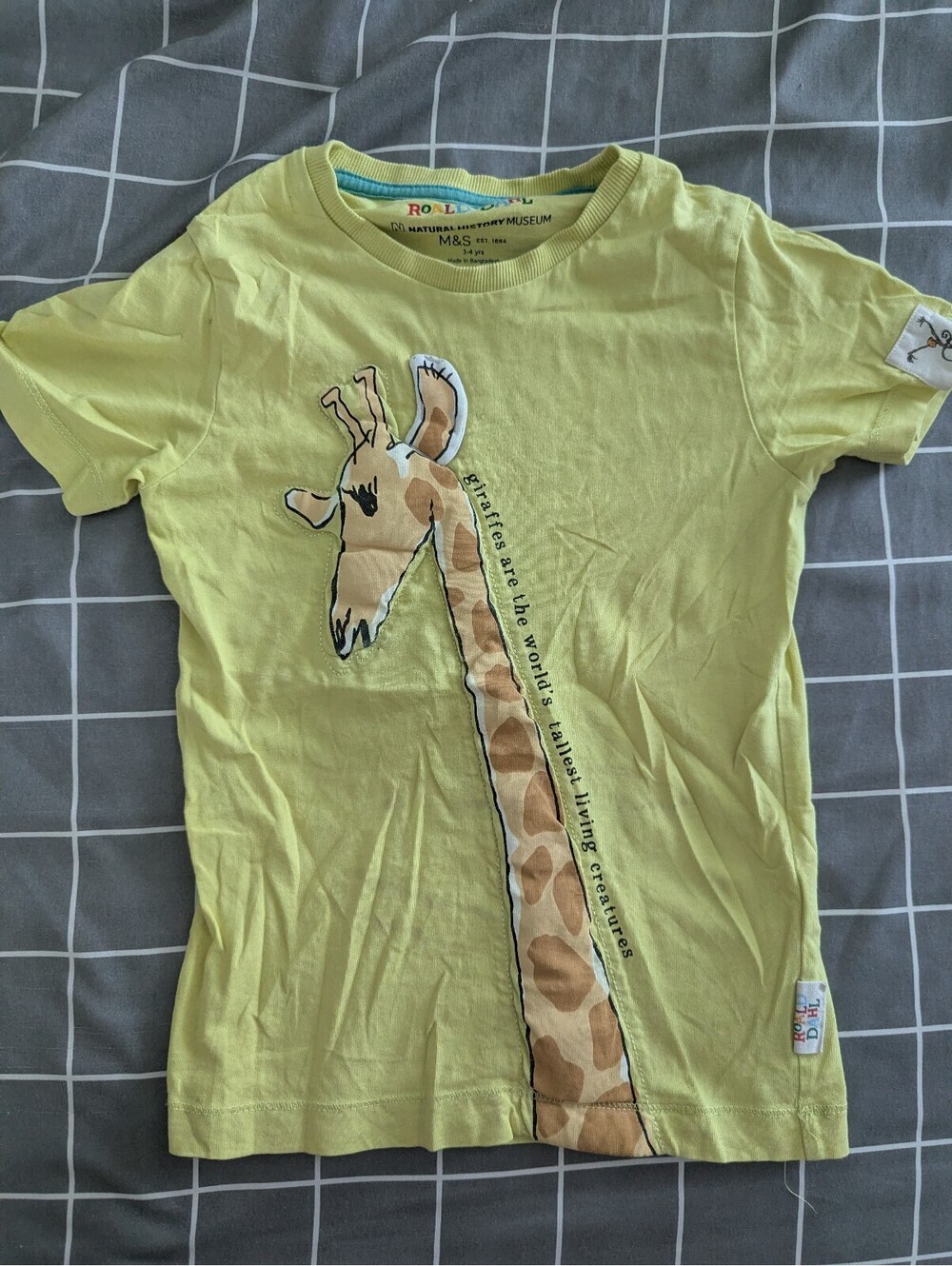 M&S Roald Dahl Giraffe tee